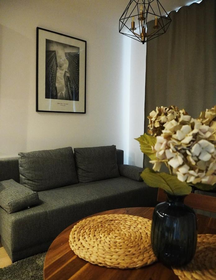 Cozy In Centrum Downtown Srodmiescie Zelazna Zelazna Jerozolimskie Palace Of Culture And Science! Wifi, Netflix, Hbo, Smarttv 55cal * Varšava